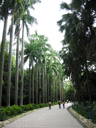 Fotos Botanischer Garten | Taipeh