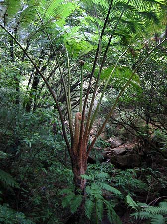 Yangminshan Foto 