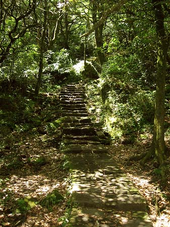 Fotos Yangminshan | 