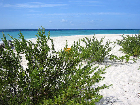 Foto Blick auf das Meer