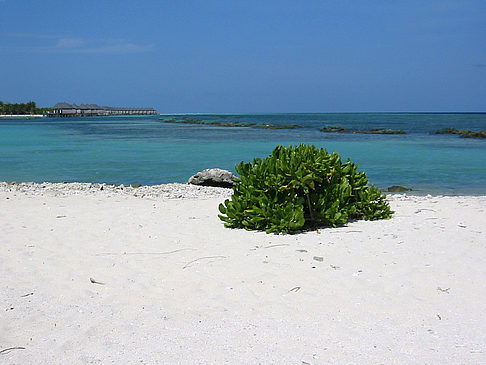 Fotos Blick auf das Meer