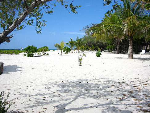 Der weiße Sandstrand Foto 