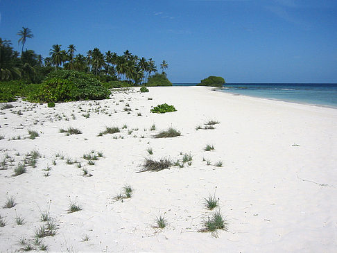 Foto Der weiße Sandstrand - 