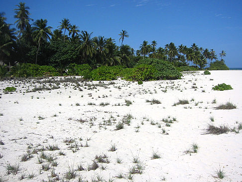 Der weiße Sandstrand