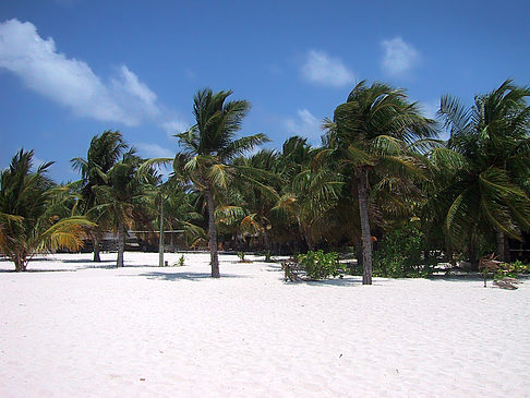 Der weiße Sandstrand der Malediven Foto 