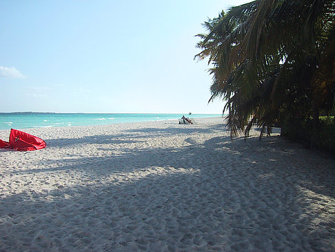 Foto Der weiße Sandstrand der Malediven