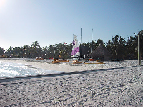 Foto Der weiße Sandstrand der Malediven