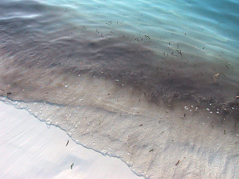 Foto Der weiße Sandstrand der Malediven - 