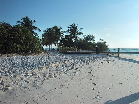 Fotos Der weiße Sandstrand der Malediven