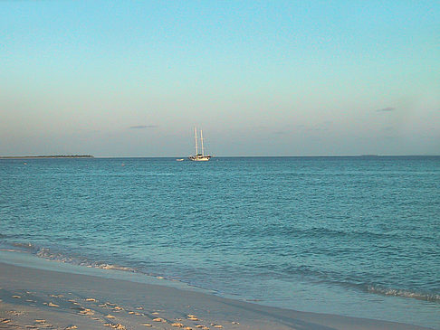 Fotos Der weiße Sandstrand der Malediven