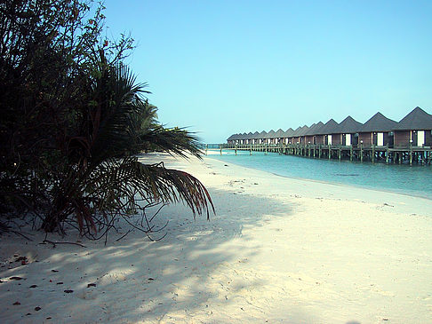 Foto Der weiße Sandstrand der Malediven - 