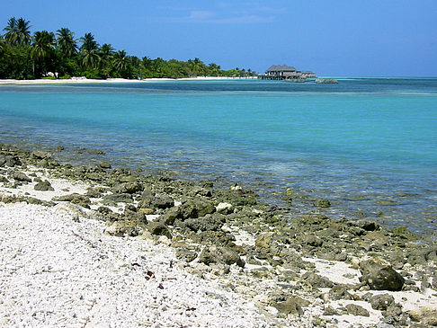 Felsiger Strand Foto 