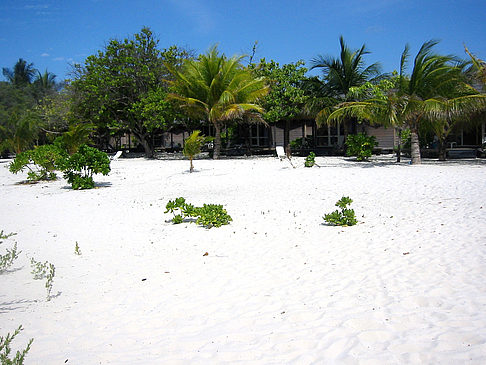 Wohnungen am Strand