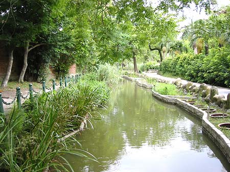 Fotos Botanischer Garten