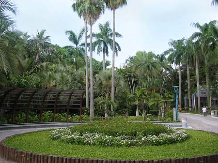 Fotos Botanischer Garten | Taipeh