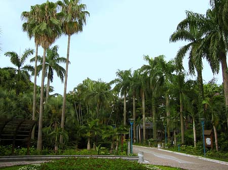 Fotos Botanischer Garten