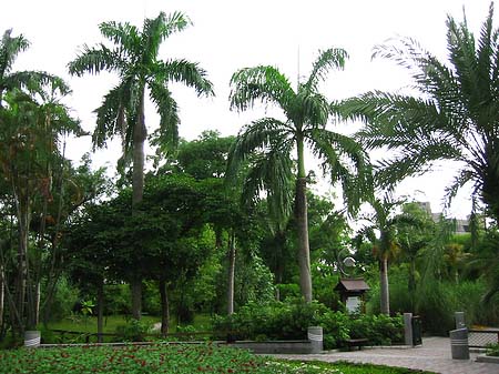 Fotos Botanischer Garten | Taipeh