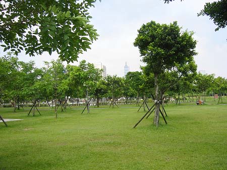 Fotos Daan Park | Taipeh