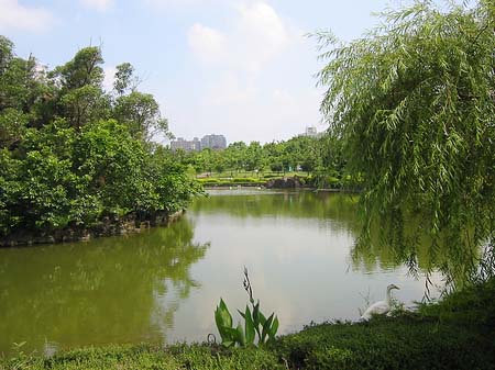 Foto Daan Park - Taipeh