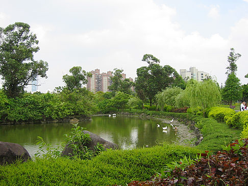 Fotos Daan Park | Taipeh