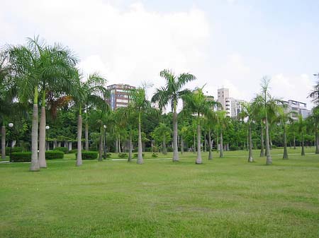 Fotos Daan Park | Taipeh