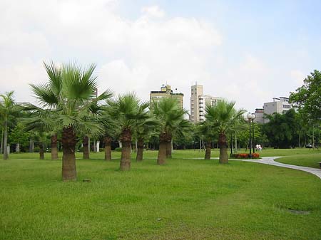 Fotos Daan Park | Taipeh