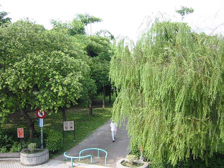 Fotos Daan Park | Taipeh