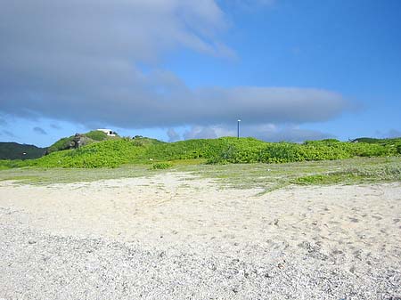 Fotos Green Island | 