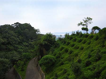 Fotos Juming Museum | Taipeh