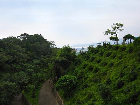 Fotos Juming Museum | Taipeh