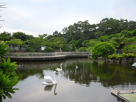 Fotos Juming Museum | Taipeh