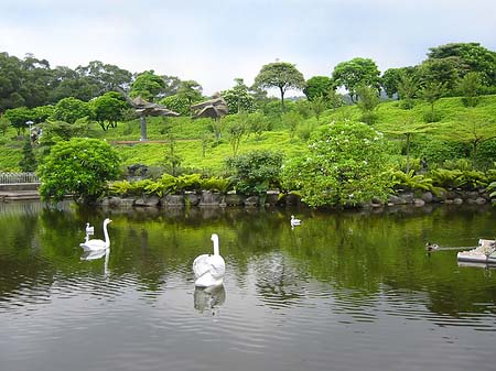 Fotos Juming Museum | Taipeh