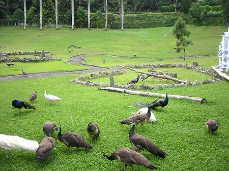 Sun Moon Lake Foto 