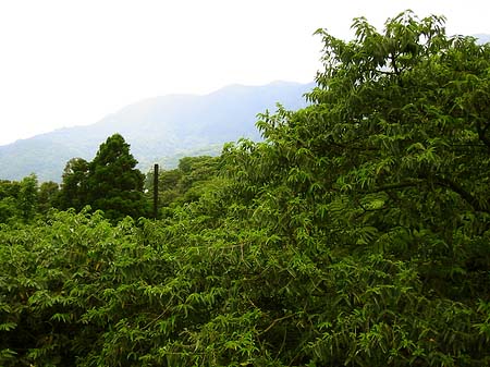 Yangminshan Foto 