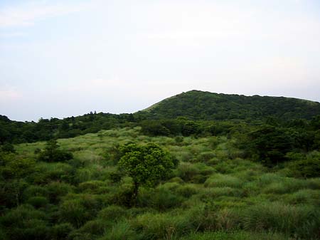 Yangminshan Fotos